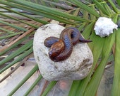 20th Century Carved Snake Netsuke - Fine Quality Japanese Signed Netsuke - Excellent Condition