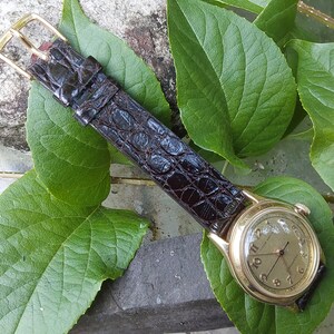 May include: A gold-toned wristwatch with a white face and black Roman numeral hour markers. The watch has a brown alligator-style leather band.