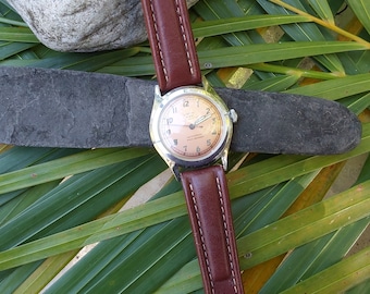 May include: A silver wristwatch with a brown leather band. The watch face is a light pink color with black Roman numeral hour markers and black hands. The watch face also has a small seconds dial at the 6 o'clock position. The watch is on a green leafy background.