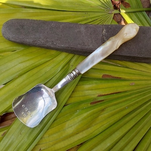 English Sterling Silver Tea Caddy Spoon - Small Mother of Pearl Antique - MOP Handle - Hallmarked Bowl - Great Condition