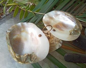 French Palais Royal Shell Calling Card Dish - Victorian Mother of Pearl Trinket Tray - Very Scarce - Excellent Condition