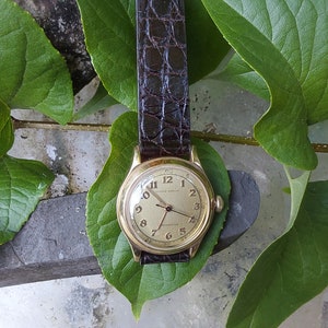 May include: A gold-toned wristwatch with a white face and black hands. The watch has a brown leather band and is surrounded by green leaves.