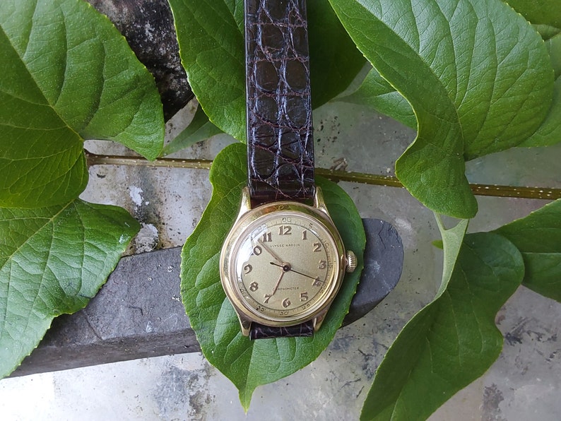 May include: A gold-toned wristwatch with a white face and black hands. The watch has a brown leather band and is surrounded by green leaves.
