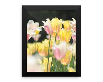 Yellow Tulips Framed Poster