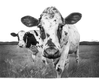 Cow Drawing, Cow Art Print, Holstein Cows, Pictures of Cows, Cow Illustration, Farm Drawing, Farmer Gift, Cow Lover, Cow Gift, Cow Portait