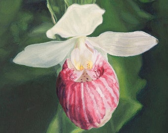 Lady Slipper,  Lady Slipper Painting, Flower Oil Painting, Lady Slipper Print, Lady Slipper Wall Decor, Lady Slipper Art, Pink Lady Slipper