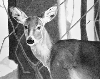 Deer Drawing,  Deer Art Print, Whitetail Deer Drawing, Deer Illustration, Deer Wall Art, Doe Drawing, Gift for Deer Hunter, Doe Art