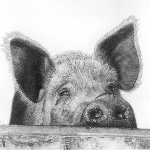 Pig Pencil Drawing, Pig Print, Pig Art, Farm Animal Art, Cute Pig Art, Farm Animal Print, Little Pig Print, Pig Wall Art, Pig Gift