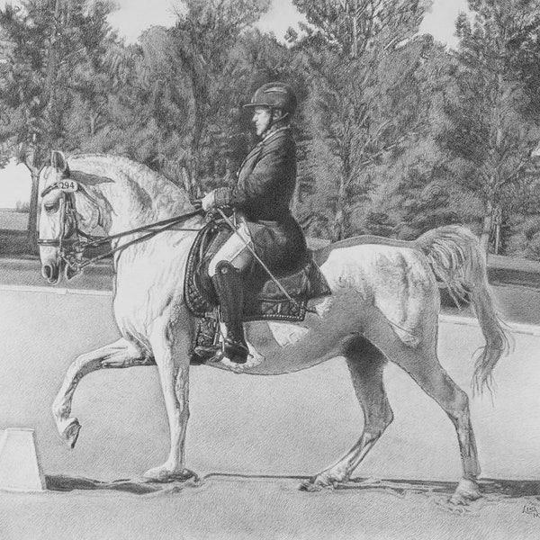 Horse Drawing, Horse Art Print, Lipizzaner Horse Drawing, Dressage Horse Riding, White Horse Art, Horse Riding, Horse Wall Art, Equine Art