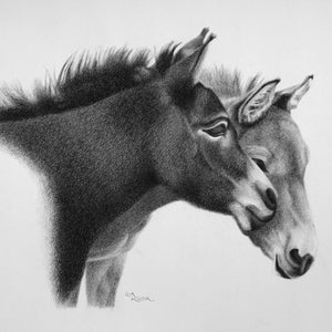 Mule Pencil Drawing, Mule Art Print, Donkey Pencil Drawing, Farm Animal Wall Art, Farmhouse Wall Art, Donkey Portrait, Mule Wall Art, Burro image 2