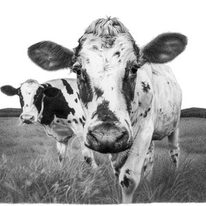 Cow Pencil Drawing Greeting Card, Farm Animal Card, Cow Art Print, Holstein Cow Greeting Card, Cow Card, Farmhouse Wall Art, Cow Wall Art
