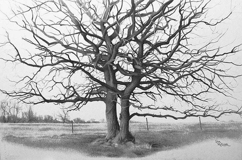 Tree Pencil Drawing Art Print, Tree Art Print, Oak Tree, Dancing