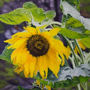Sunflower Oil Painting, Original Sunflower Painting, Wrapped Canvas Sunflower, Sunflower Wall Art, Yellow Botanical, Yellow Flower Painting