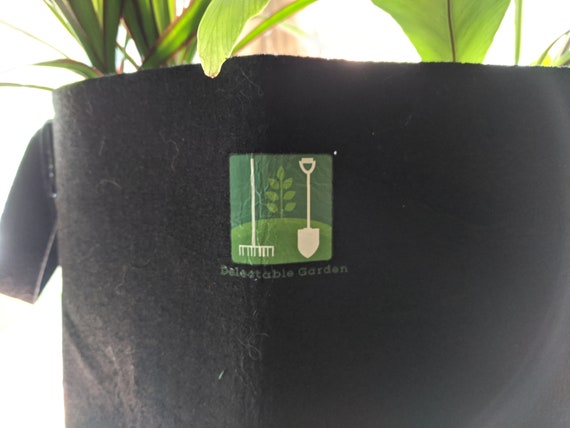 5 Gallon Grow Bags, Fabric Pots With Handles, Eco-friendly Made With 100%  Recycled PET Plastic. -  Israel