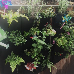 Puede incluir: Un jard&iacute;n vertical con una variedad de plantas que crecen en bolsillos de tela negra. El jard&iacute;n est&aacute; unido a una valla de madera. Una regadera verde cuelga de la parte superior de la valla.