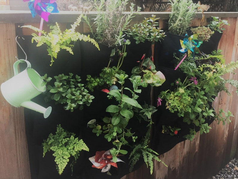 Puede incluir: Un jard&iacute;n vertical con una variedad de plantas que crecen en bolsillos de tela negra. El jard&iacute;n est&aacute; unido a una valla de madera. Una regadera verde cuelga de la parte superior de la valla.