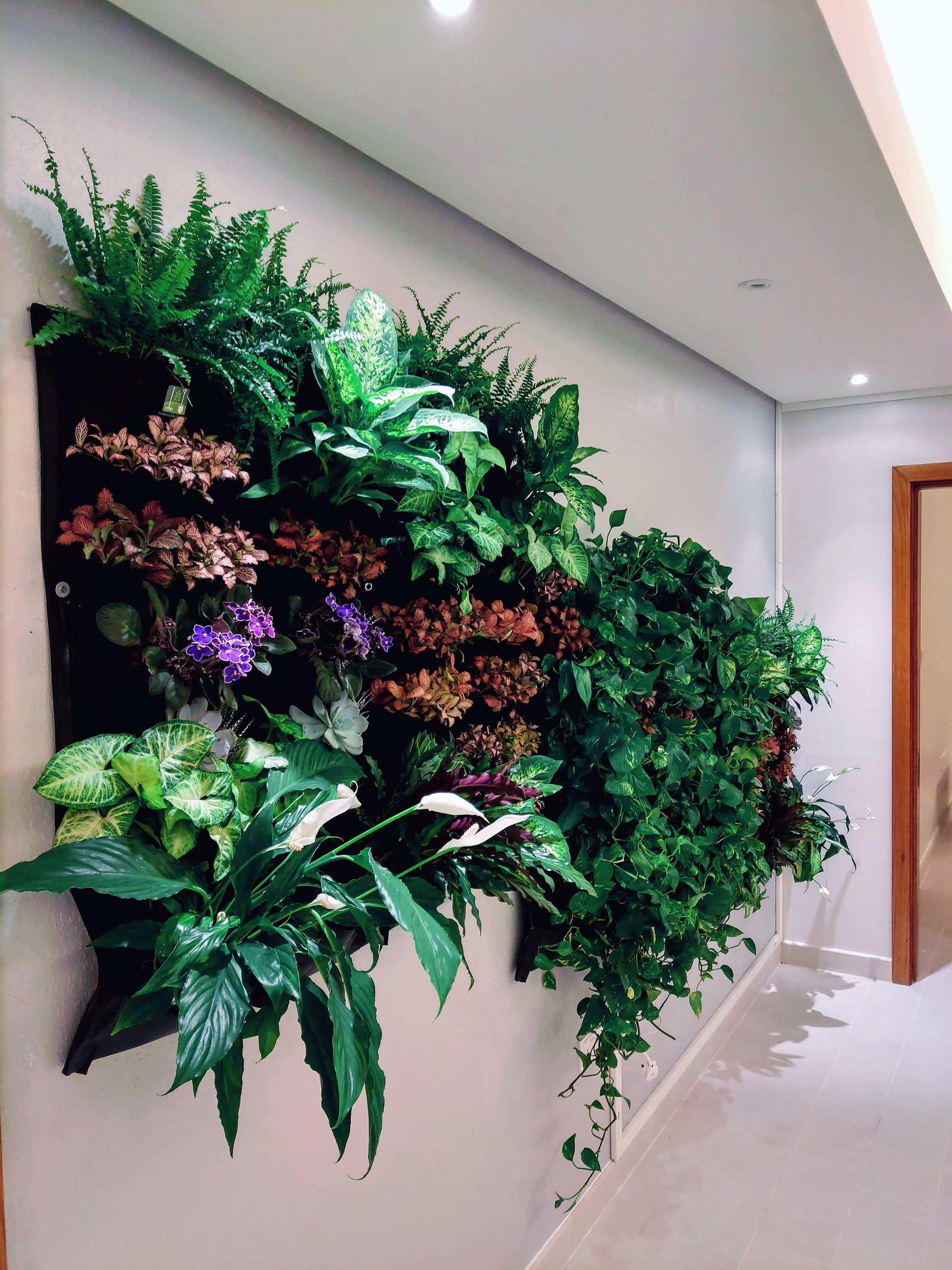 Indoor vertical on sale garden with lights