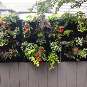 Puede incluir: Un jard&iacute;n vertical con tres paneles negros, cada uno con m&uacute;ltiples bolsillos llenos de diversas plantas, incluyendo helechos, hiedra y flores con flores rojas.