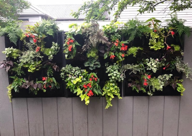 Puede incluir: Un jard&iacute;n vertical con tres paneles negros, cada uno con m&uacute;ltiples bolsillos llenos de diversas plantas, incluyendo helechos, hiedra y flores con flores rojas.
