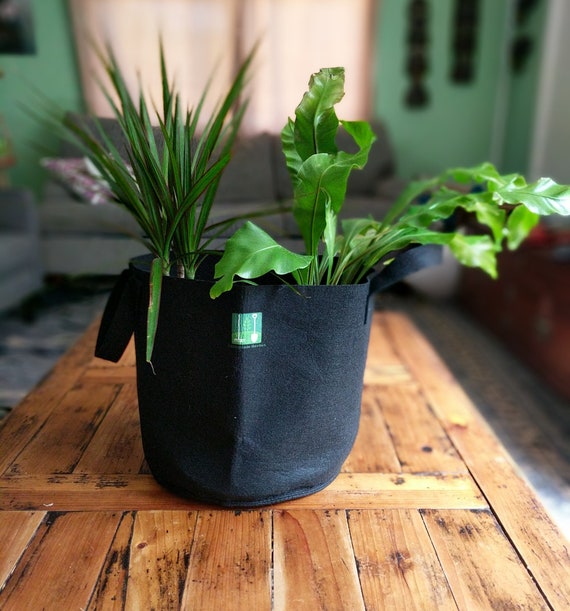 5 Gallon Grow Bags, Fabric Pots With Handles, Eco-friendly Made With 100%  Recycled PET Plastic. -  Israel