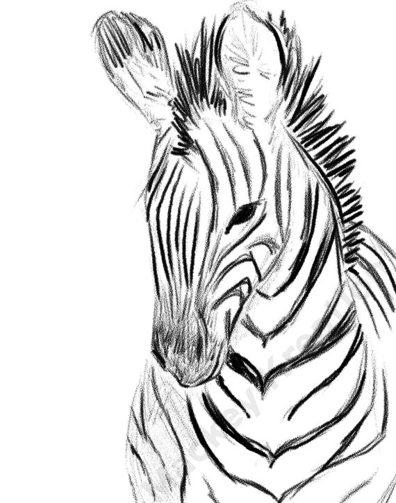 Uitgelezene Baby Zebra digitale inkt tekening | Etsy RM-47