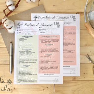 May include: A printable checklist for birth preferences with the title "Souhaits de Naissance" in French. The checklist includes sections for labor and delivery preferences, such as pain management, movement, and support.