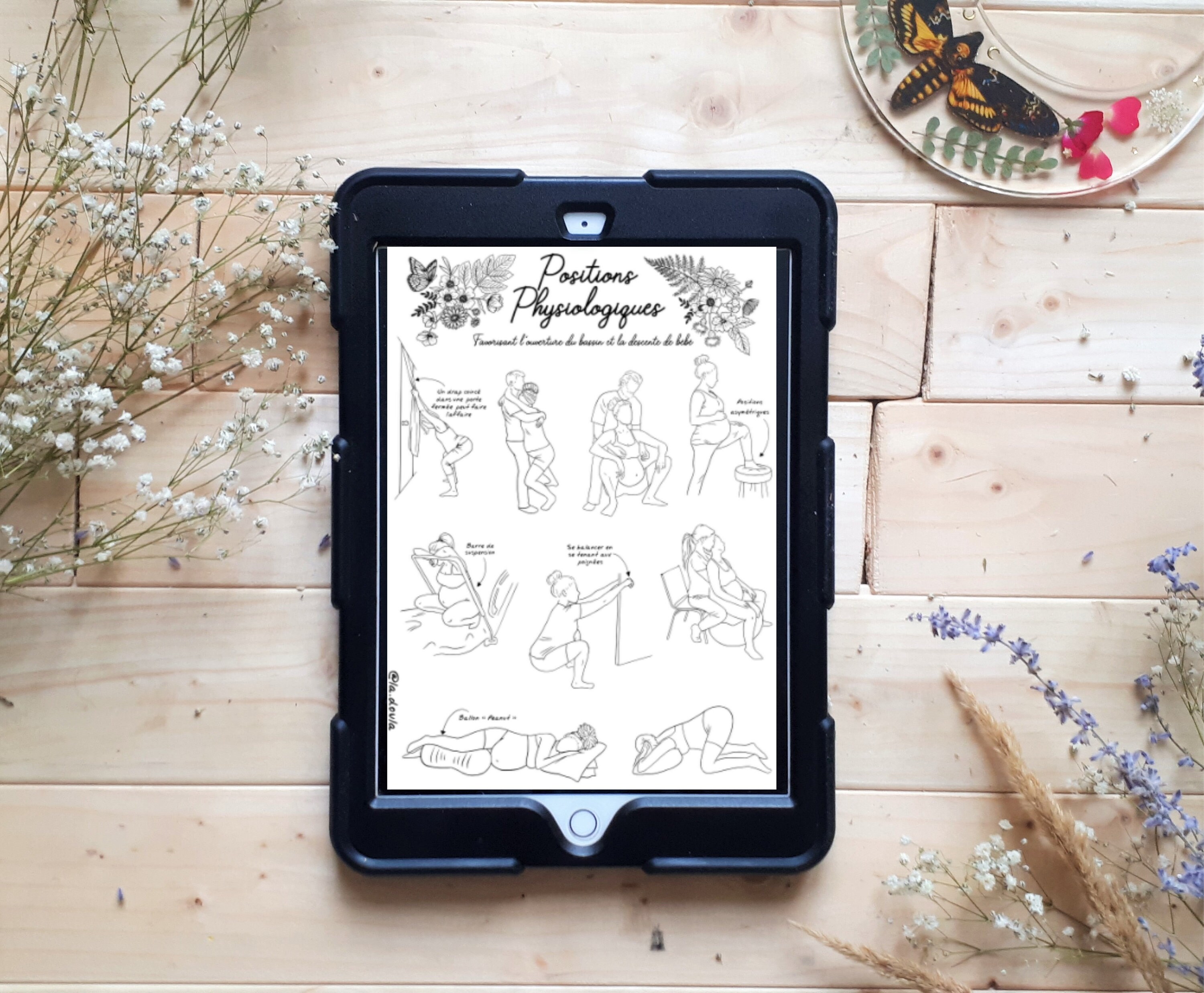 Numerique Positions Physiologiques Illustration Naissance Etsy Numerique Positions Physiologiques Illustration Naissance Etsy