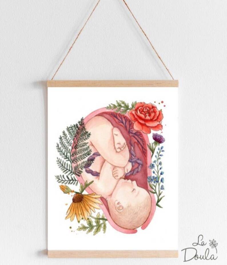 Watercolor poster IN UTERO / doula, midwife, art, birth, childbirth, baby, placenta, flowers, uterus, nature, instinct, doctor 