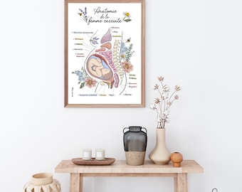 Poster/ Poster / Anatomy / Clinic; birth room; midwife; birth house; prenatal yoga; desk; childbirth