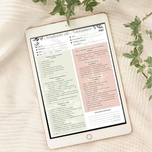 BIRTH PLAN checklist (2 pages) / birth wishes, baby, hospital, doula, preparation, medical