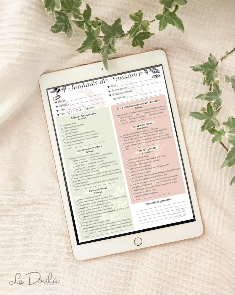 BIRTH PLAN checklist (2 pages) / birth wishes, baby, hospital, doula, preparation, medical image 1