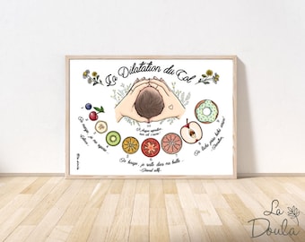 Poster /Poster/ Cervical dilation/ Clinic; midwife; birth house; prenatal yoga; childbirth