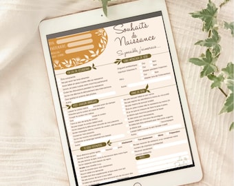 BIRTH PLAN checklist (2 pages) / birth wishes, baby, hospital, doula, preparation, medical,