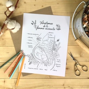 WERSJA PAPIEROWA Anatomia / motywacja, pozytyw, poród naturalny, doula, położna, poród, ilustracja