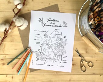 PAPER VERSION Anatomy / motivation, positive, natural childbirth, doula, midwife, birth, illustration