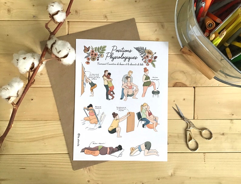 May include: A white poster with a floral border and the title "Positions Physiologiques" in black text. The poster shows illustrations of different positions for labor and delivery, including standing, kneeling, and squatting.