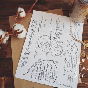 VERSIÓN EN PAPEL Aumento lechoso / motivacional, positivo, parto natural, doula, matrona, parto, ilustración