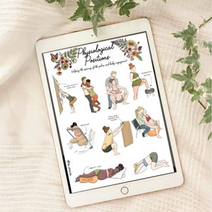 DIGITAL/ENGLISCH/Farbversion; Stellungen, Frauenpaar/Kunst; Illustration; Stellungen; Doula; Hebamme; Geburt; Neugeborenes; natürliche Geburt
