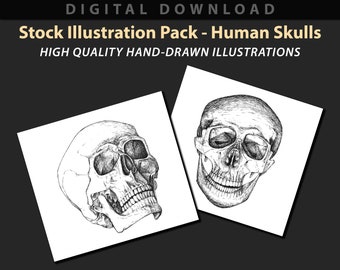 Human Skulls stock illustration pack