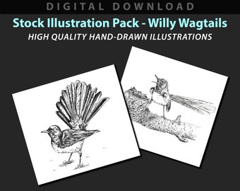 Willy Wagtails stock illustration pack