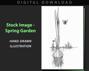 Spring Garden stock image