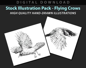 Flying Crows stock illustration pack