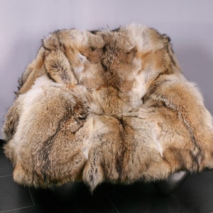 REAL COYOTE full skin  Fur throw,fur blanket,coyote blanket,coyote fur throw,real fur blanket,full skin fur throw,fur comforter, fur pillows