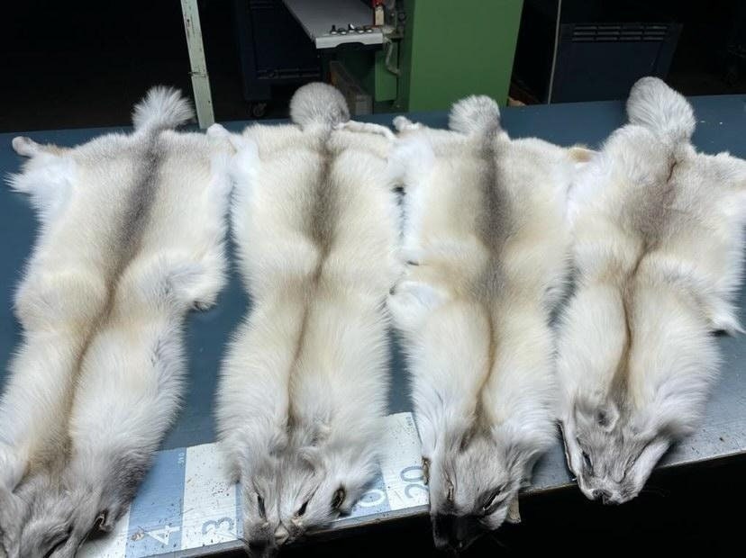 LUXURY ARTIC MARBLE Fox Fur Coat With Whole Skins, Fur Jacket, Luxury Fur  Coat, Available in Various Fox Colours,perfect Gift 