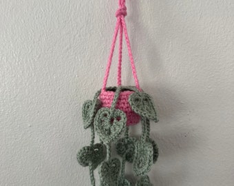 crochet hanging plant