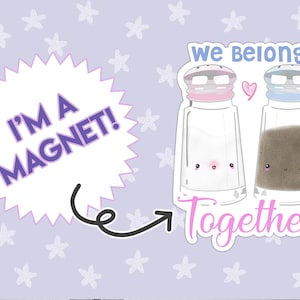 Salt and Pepper Magnet, Kawaii Magnet, Cute Magnet