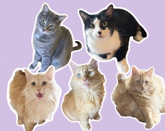 Custom Pet Vinyl Stickers: Personalized Waterproof Decals (Set of 6)