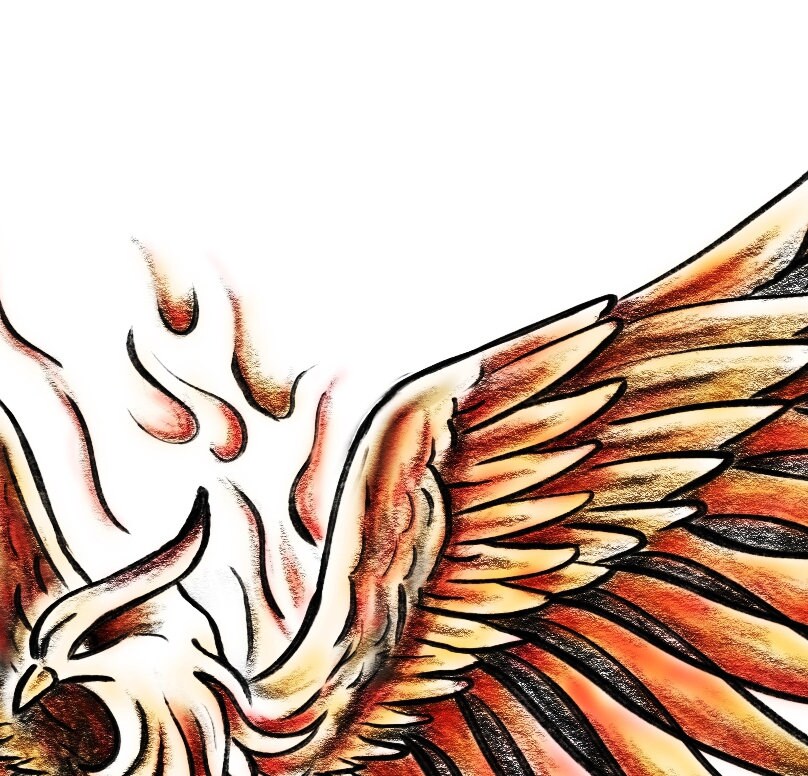 Phoenix Tattoo Design Colored Plus Black and Grey Versions - Etsy Australia Phoenix Tattoo Design Colored Plus Black and Grey Versions - Etsy Australia