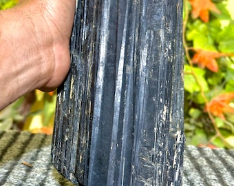 220MM Black Tourmaline Rough Crystal | Raw Black Tourmaline Stone | Protection Crystal | Grounding Healing Stone | Natural Mineral Specimen