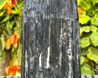 MASSIVE 25CM Black Tourmaline Crystal Chunk: Raw Protective Stone